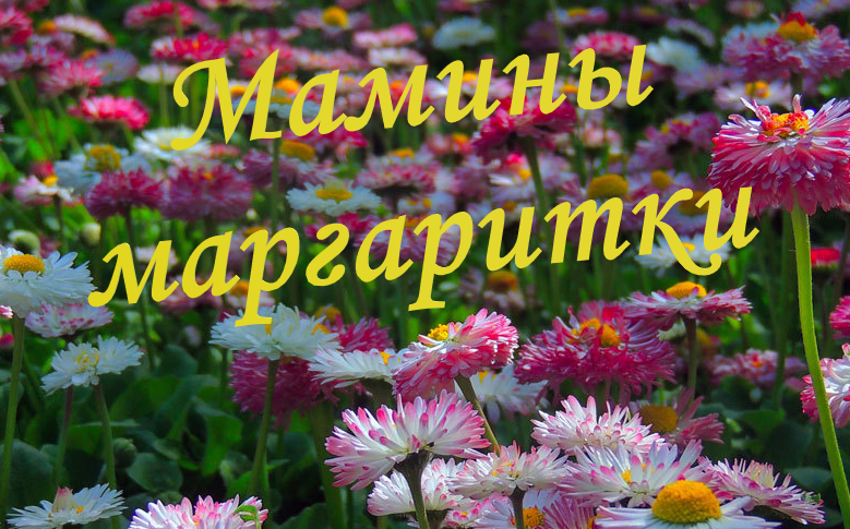 "Мамины маргаритки" bez imeni - "Мамины маргаритки"